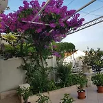 Apartman Nikolic 1 Makarska