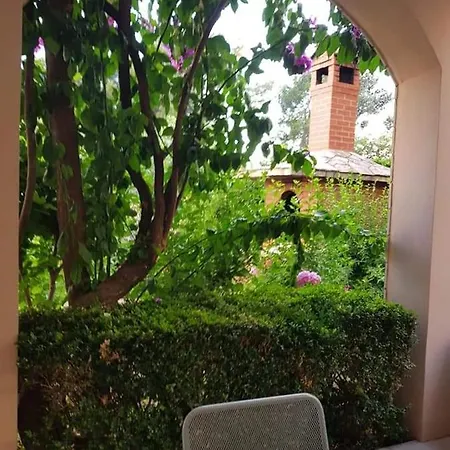 Nikolic 1 * ماكارسكا