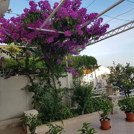 Nikolic 1 * Makarska