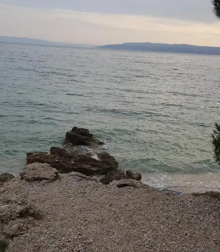 Nikolic 1 * Makarska