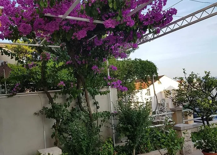 Nikolic 1 * Makarska