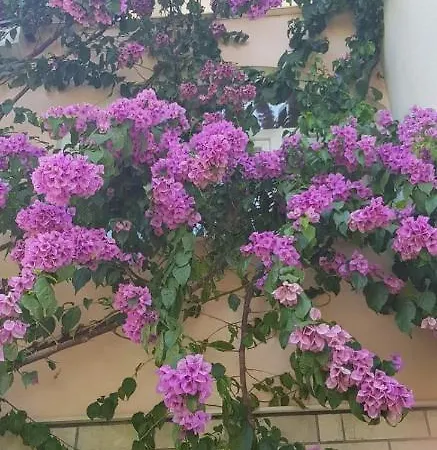 Lägenhet Nikolic 1 Makarska