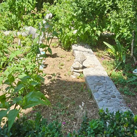 Apartment Nikolic 1
