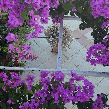 Apartment Nikolic 1 Makarska