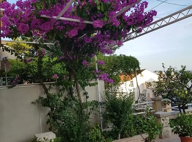 Apartmán Nikolic 1 Makarská