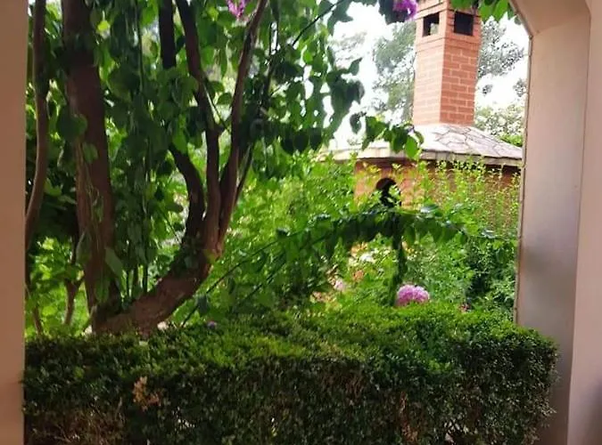 Nikolic 1 * Makarská